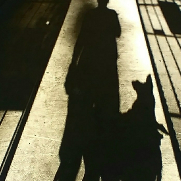 Meet your Posher, ShawnyBoy - Picture 3 of 6